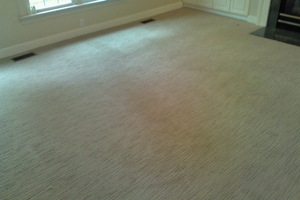 residential carpet mechanicsville